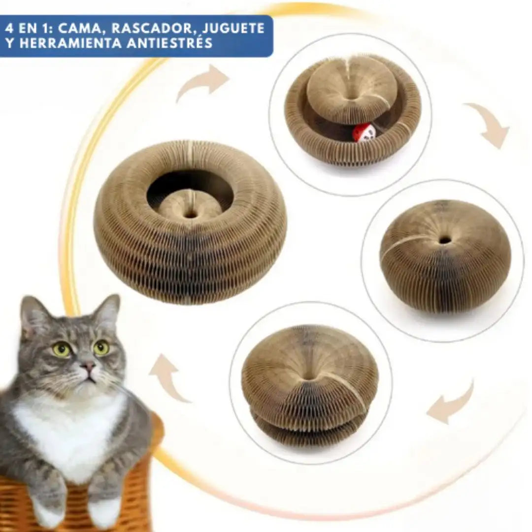 SpiraGato 🐈⬛😽