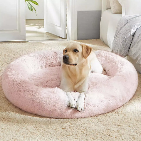 PetRelax: La Cama Antiestrés que Tu Mascota Ama