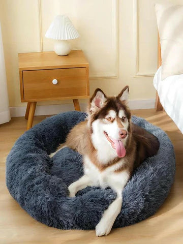 PetRelax: La Cama Antiestrés que Tu Mascota Ama