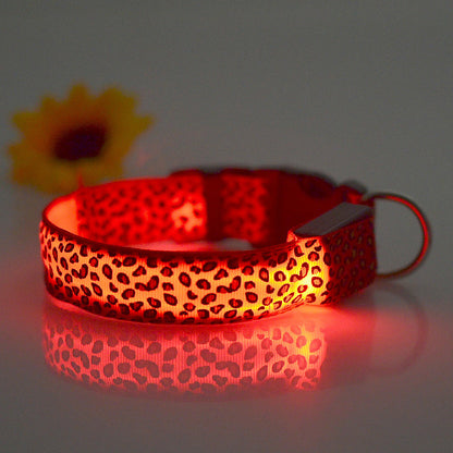 Collar LED Luminoso: Seguridad y Estilo para tus Paseos Nocturnos🐾