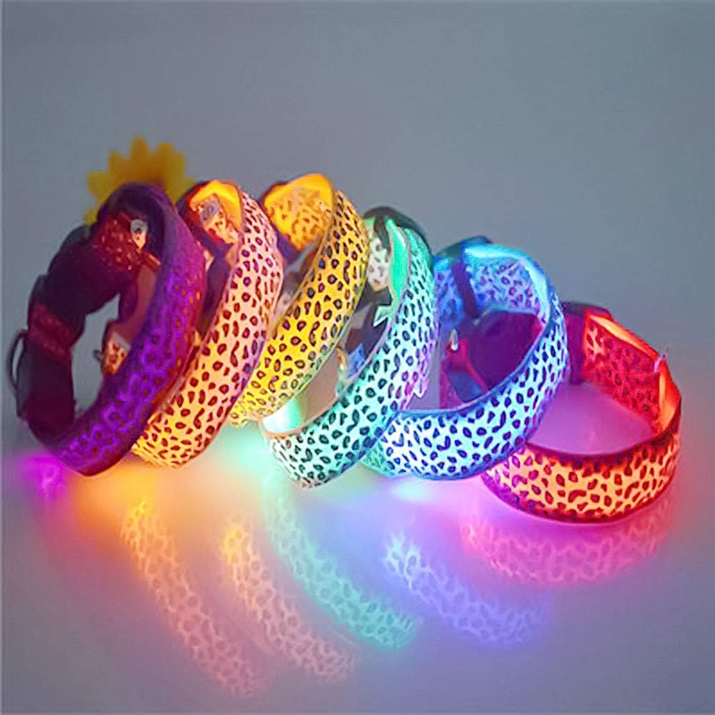 Collar LED Luminoso: Seguridad y Estilo para tus Paseos Nocturnos🐾
