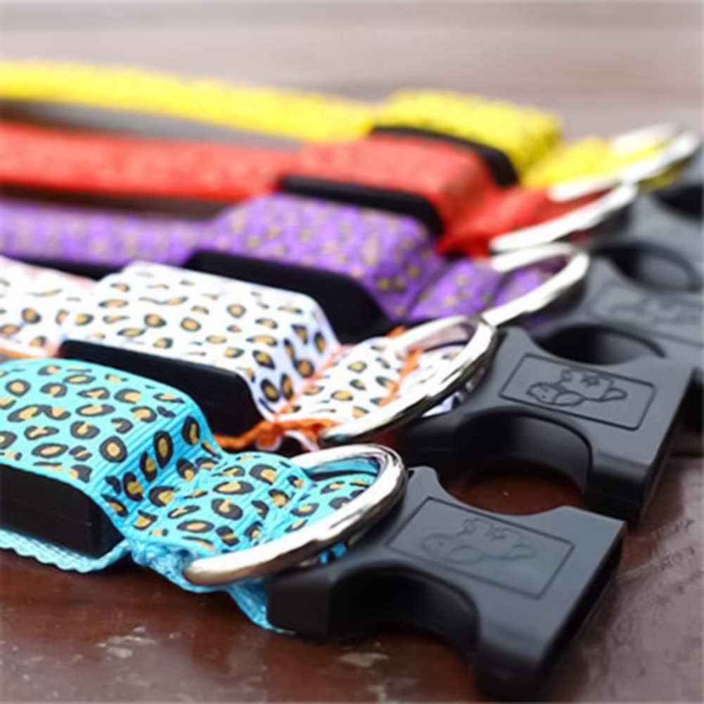 Collar LED Luminoso: Seguridad y Estilo para tus Paseos Nocturnos🐾