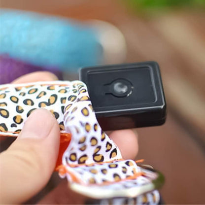 Collar LED Luminoso: Seguridad y Estilo para tus Paseos Nocturnos🐾