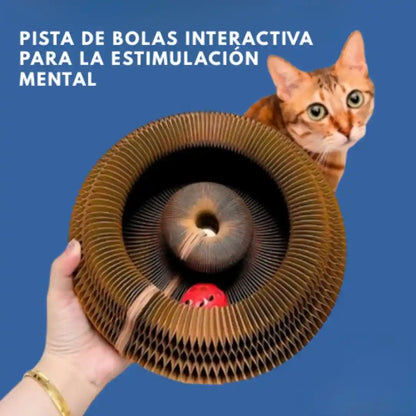 SpiraGato 🐈‍⬛😽