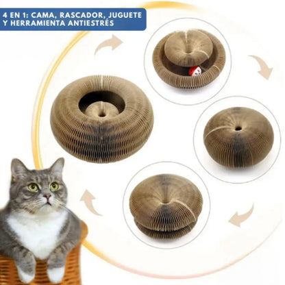 SpiraGato 🐈‍⬛😽