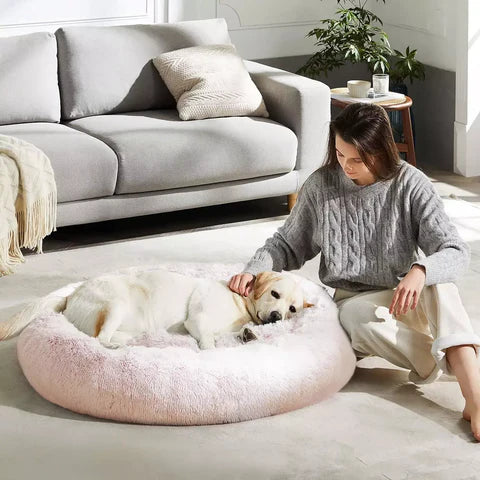PetRelax: La Cama Antiestrés que Tu Mascota Ama